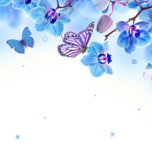 سورة الزخرف by Nasser.H
