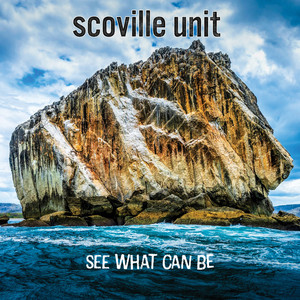See What Can Be — Scoville Unit