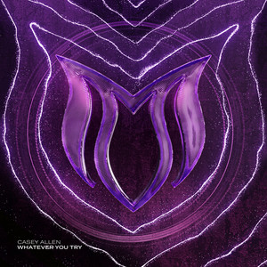 Whatever You Try - Extended Mix by Casey Allen