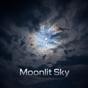 Moonlit Sky by Woodrumma81 aka Phill-3