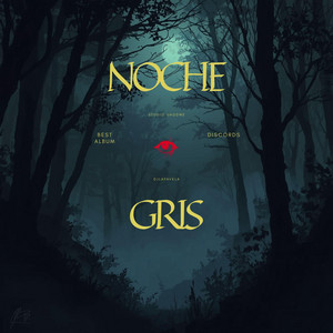Noche Gris by Lafavela