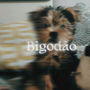 Kid A-lex - Bigodão (feat. MC FIL)