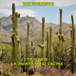 Trilogie la montaña de cactus