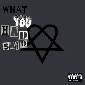 WHAT YOU HAD SAID