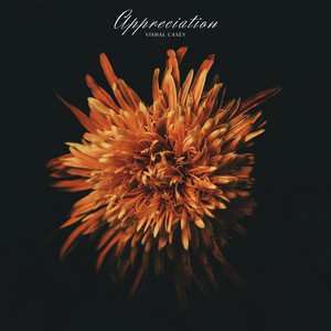 Appreciation by Vishal Casey