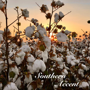 Southern Accent by Viv&Andy
