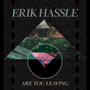 Are You Leaving by Erik Hassle
