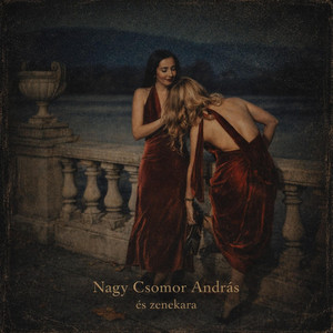 Gyere, Csicsi! by Nagy Csomor András és zenekara