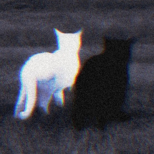 Broken (Speed Up) - Single by xfukxlovex | Spotify