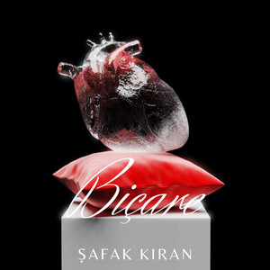 BİÇARE
