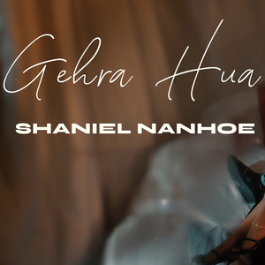 Shaniel Nanhoe - Gehra Hua (Cover)