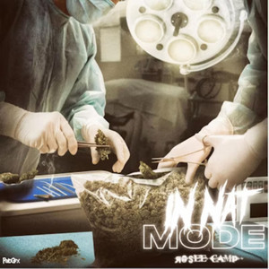 Portada de In Nat Mode