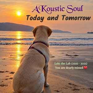 Today And Tomorrow by AKoustic Soul
