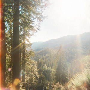 the creek by Walnut Creek