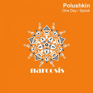 Polushkin cover