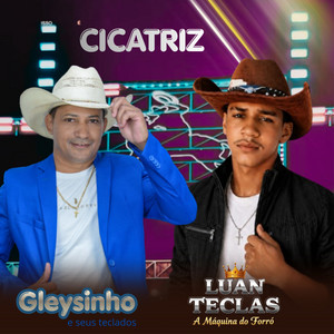 Cicatriz by Gleysinho e Seus Teclados, Luan Teclas