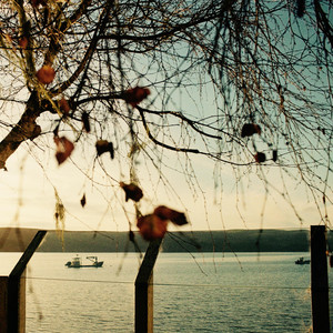 Like Autumn by Ashton York