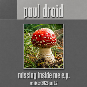 Missing Inside Me (Remixes 2026 Part.2)