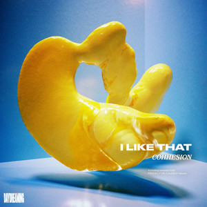 I Like That - FVBLS Remix by Cohhesion, FVBLS