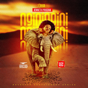 Jenneth Prischa - NGININGINI
