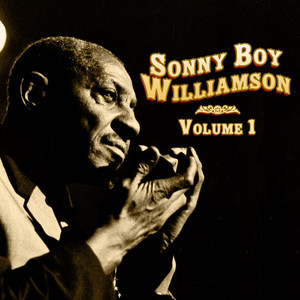 BOY &SONNY ANIMALS レコード　THE WILLIAMSON