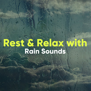 Soft Rain Lullaby by Thunderstorms