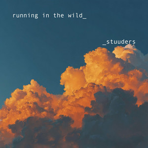 running in the wild by STUUDERS