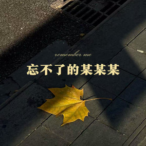 忘不了的某某某 - 合唱版伴奏 by 烟嗓船长, 杨友友
