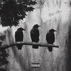 Portada de Hierarchy
