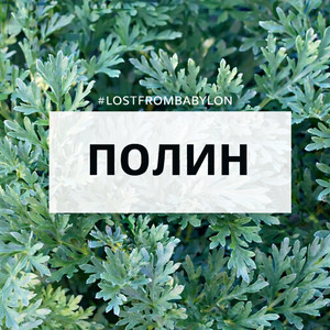 Полин by Lost from Babylon