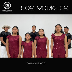 Los Yorkles - Tongoneaito