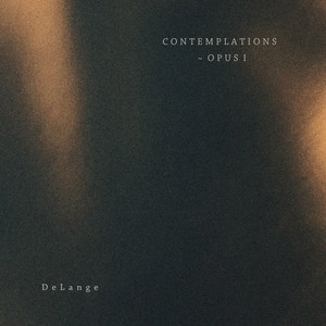 Contemplation No. 5 by DeLange