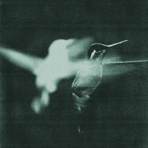Brave New World by Wings of Desire