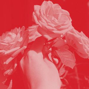Portada de Let Them Row
