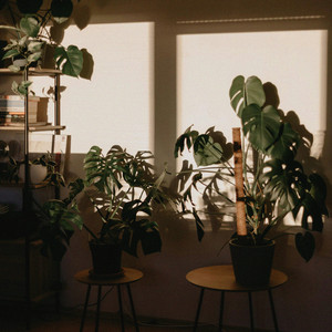 Sunroom by Gaslamp