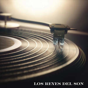 Tus consejos me guían by Los Reyes Del Son