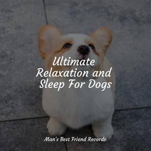 Ultimate Relaxation and Sleep For Dogs album