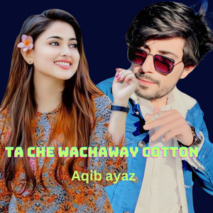 Aqib Ayaz - Ta Che Wachaway Cotton
