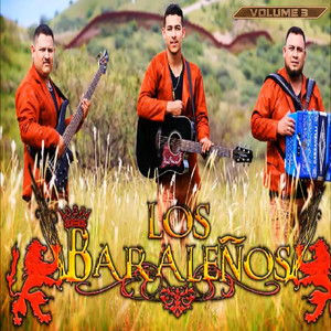 Vol. 3