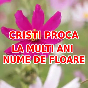 Cristi Proca - La multi ani nume de floare  FLORII