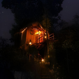 treehouse - slowed by relapse, Yattaw