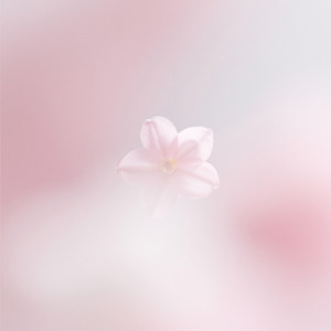 Soft Replay by Misumy