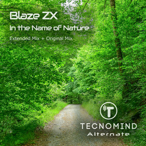 Blaze ZX | Spotify