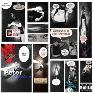 Peter Parker by Charley, RIM