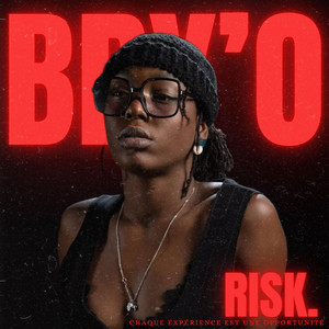 Portada de Risk.