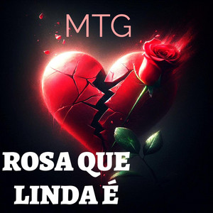 DJ FB DA VDS - (MTG) ROSA QUE LINDA ERES