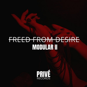 MODULAR 02 - Freed From Desire