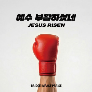 JESUS RISEN