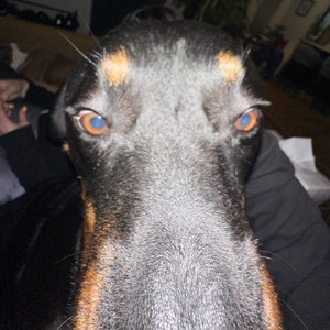 Koy - Too Sweet (Sped Up)