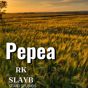 RK Slay B - Pepea (feat. Joy)